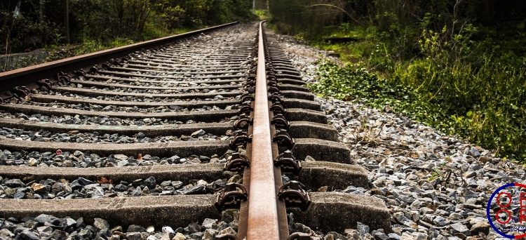 Silk Road railways: more coordination required in the EU