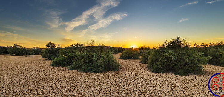 Le défi environnemental de la BRI