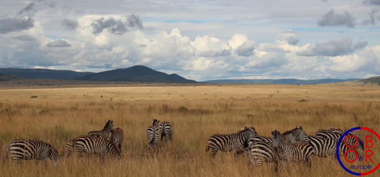 Les obstacles à la BRI au Kenya