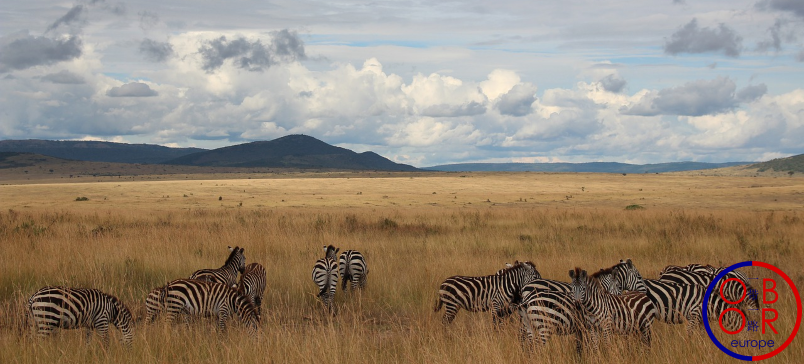 This image has an empty alt attribute; its file name is kenya-oboreurope-lamu-belt-road.png