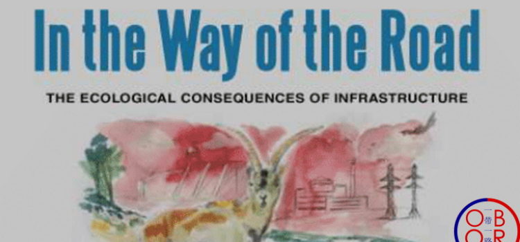 In the Way of the Road, the Ecological Consequences of Infrastructure, by Prof Griffiths and Prof Hughes